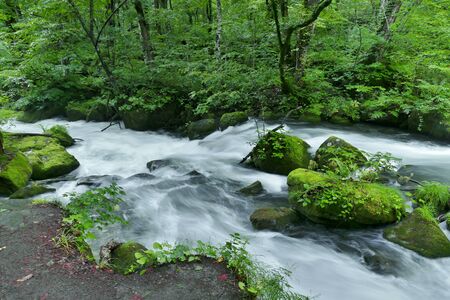 "Oirase Mountain Stream", Towada City, Aomori Prefecture Japanの写真素材