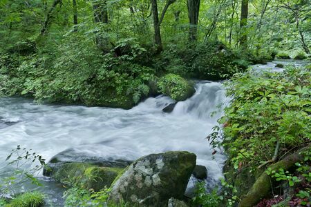 "Oirase Mountain Stream", Towada City, Aomori Prefecture Japanの写真素材