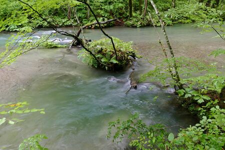 "Oirase Mountain Stream", Towada City, Aomori Prefecture Japanの写真素材