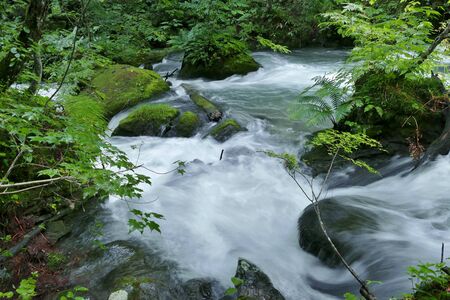 "Oirase Mountain Stream", Towada City, Aomori Prefecture Japanの写真素材