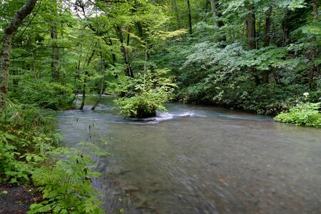 "Oirase Mountain Stream", Towada City, Aomori Prefecture Japanの写真素材