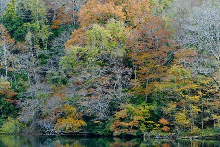 "Autumn Leaves of Juni Lake", Fukaura Town, Aomori Prefecture Japanの写真素材