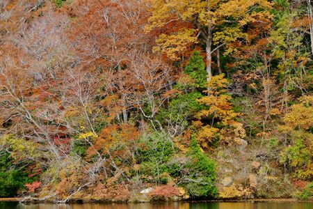 "Autumn Leaves of Juni Lake", Fukaura Town, Aomori Prefecture Japanの写真素材