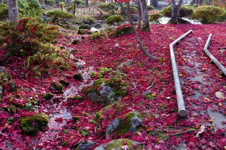 Former Ikeda Family Japanese Garden , Akita, Japanの写真素材