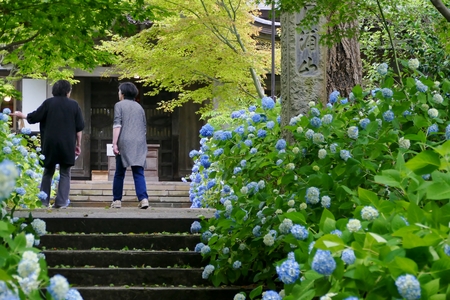 Unshoji Temple, Oga City, Akita Prefecture Japanのeditorial素材