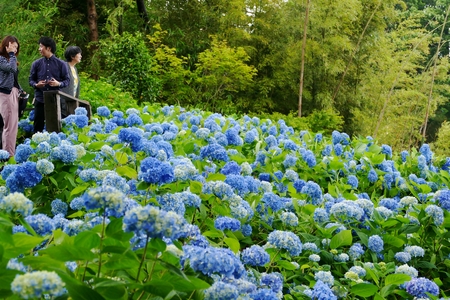 Unshoji Temple, Oga City, Akita Prefecture Japan