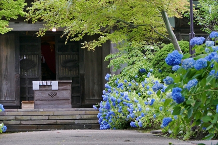 Unshoji Temple, Oga City, Akita Prefecture Japanのeditorial素材