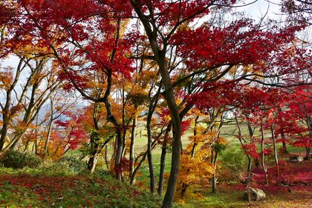 Former Ikeda Family Japanese Garden , Akita, Japanの写真素材