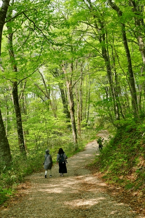 "Juni Lake of Fresh Green", Fukaura Town, Aomori Prefecture Japanのeditorial素材