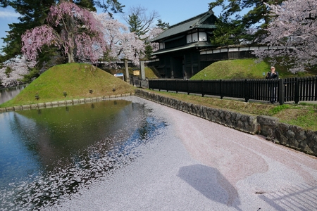 ?Cherry Blossoms Hirosak i Park, Hirosaki City, Aomori Prefecture Japanのeditorial素材