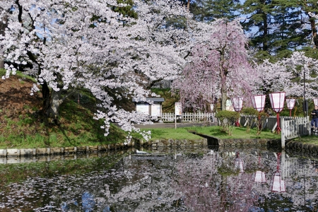Cherry Blossoms Hirosak i Park, Hirosaki City, Aomori Prefecture Japanのeditorial素材