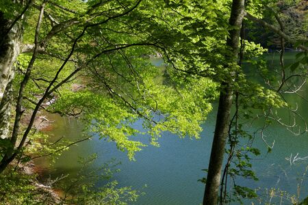 "Juni Lake of Fresh Green", Fukaura Town, Aomori Prefecture Japanの写真素材