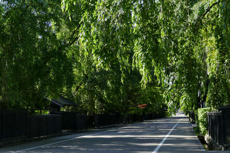 "Summer in Kakunodate", Senboku City, Akita Prefecture Japanの写真素材