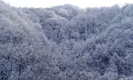 "Oyasu Gorge" Akita Prefecture Japanの写真素材