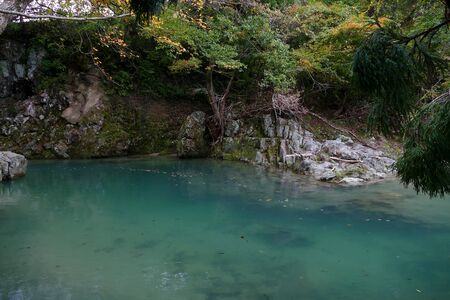 "Hall Moth" Akita Prefecture Japanの写真素材