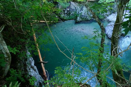 Hall Moth Akita Prefecture Japanの写真素材