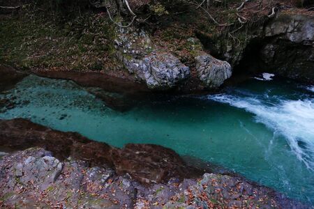 Hall Moth Akita Prefecture Japanの写真素材