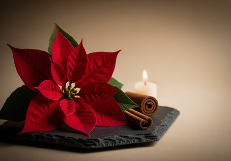 Poinsettia, cinnamon sticks and burning candle on dark backgroundの素材