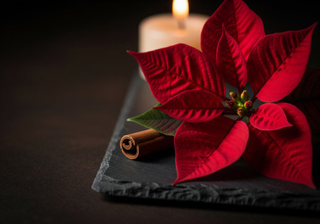 Poinsettia flower, cinnamon sticks and burning candle on dark backgroundの素材