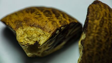 Areca nut