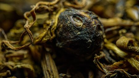 Gundrukの写真素材