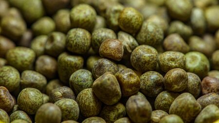 seedsの写真素材