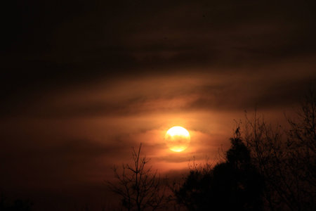 sunset