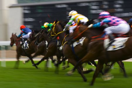 The Horse Racing at Hong Kong Jockey Club. (got some noise due to high ISO and blurry for motion...