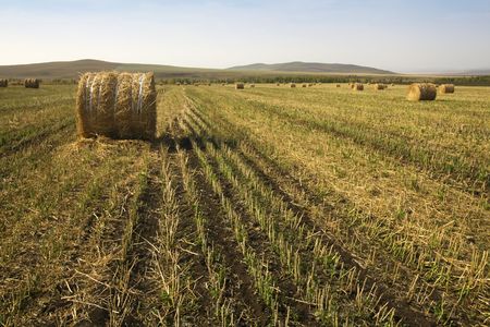 The hay bale in Inner Mongolia grassland in autumn season.