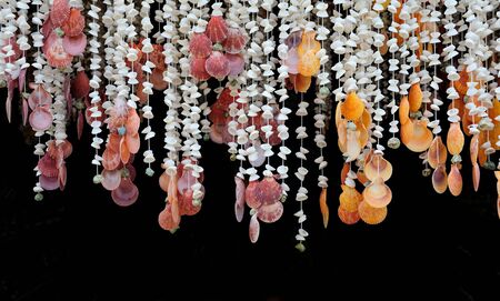 Shell decoration on blackの写真素材