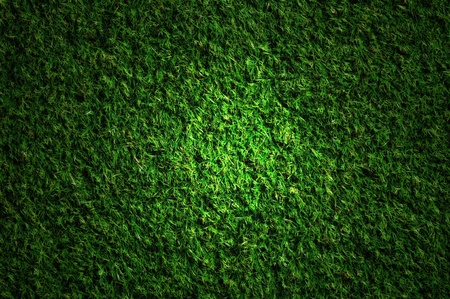 Night fieldの写真素材