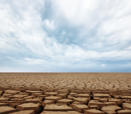  land with dry cracked ground   