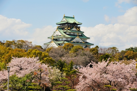 osaka castle with the cherry blossoms in springのeditorial素材