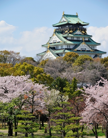osaka castle with the cherry blossoms in springのeditorial素材