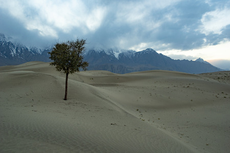 Sand desert at skardu. Northern Area Pakistanの写真素材