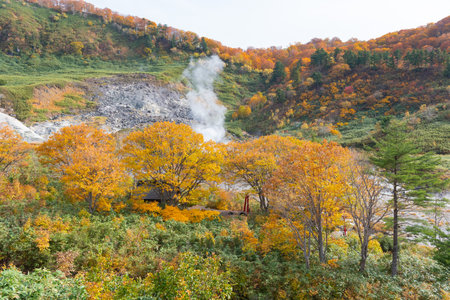 Autumn leaf season in Japanの写真素材