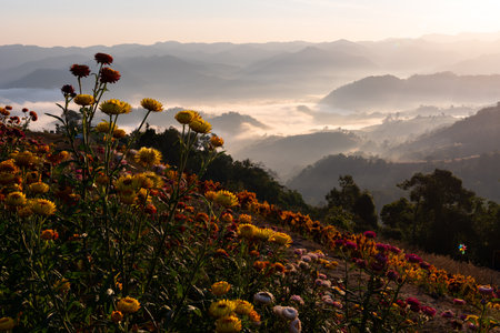 Mountian range landscape look from view point of Montawan Mountain in Tak province, Thailandの写真素材