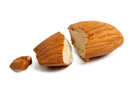 High-resolution photo of almonds taken with a focus stacking technique.の写真素材