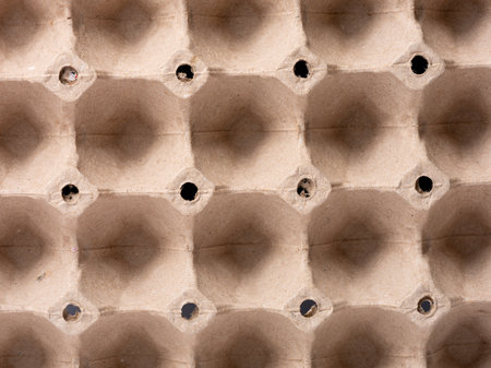 Tray made from brown cardboard for packing chicken eggs