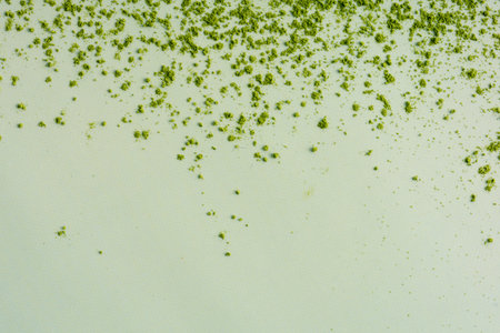 The powder of matcha splash isolate on pastel green background, high quality image