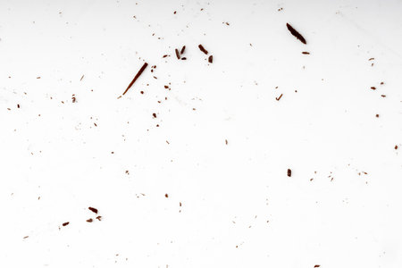 The Photo of chocolate stains scattered on the floorの写真素材