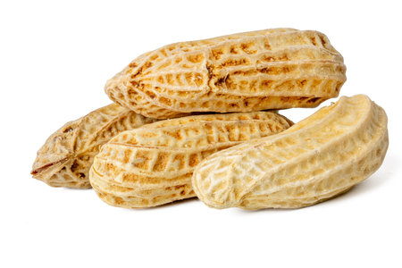 The High-resolution photograph of boil tiger stripe peanut isolate on white, taken with a...