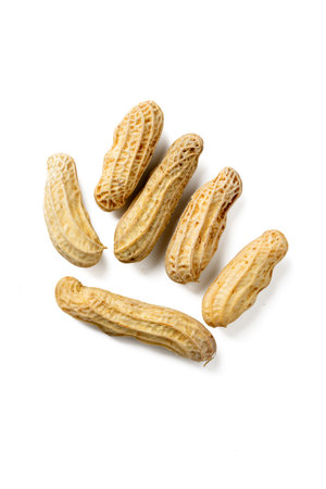 The High-resolution photograph of tiger stripe peanut isolate on white, taken with a high-resolution...