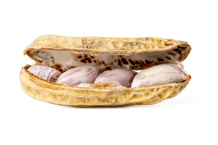 The High-resolution photograph of boil tiger stripe peanut  isolate on white, taken with a...