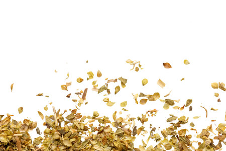 The High-resolution photograph of oregano isolate on white, taken with a high-resolution 45MP cameraの写真素材