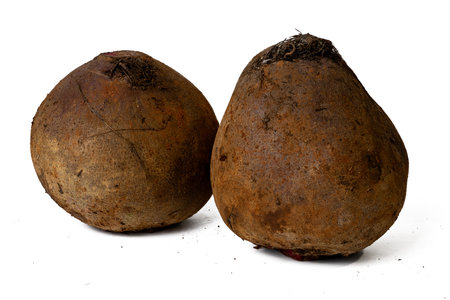 The Photo of raw fresh beetroot taken with a high-resolution camera using the focus-stacking technique on a white background.の写真素材