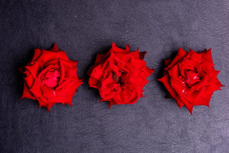 The  high-resolution 45MP photograph of vibrant red rose against a black leather background.