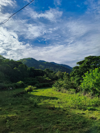 Green meadow under blue sky with white clouds.の写真素材