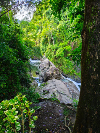 Waterfall in the forestの写真素材