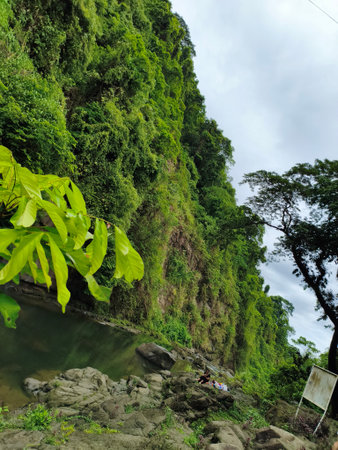 Beautiful view of the river in the jungle of.の写真素材